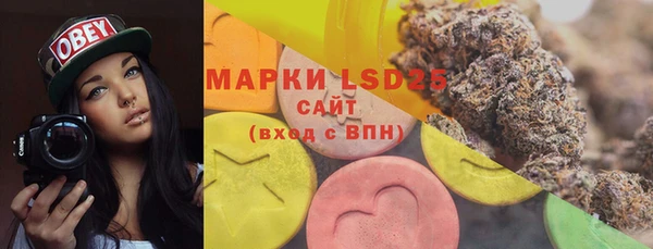 дживик Балахна