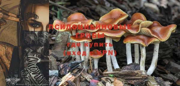 дживик Балахна