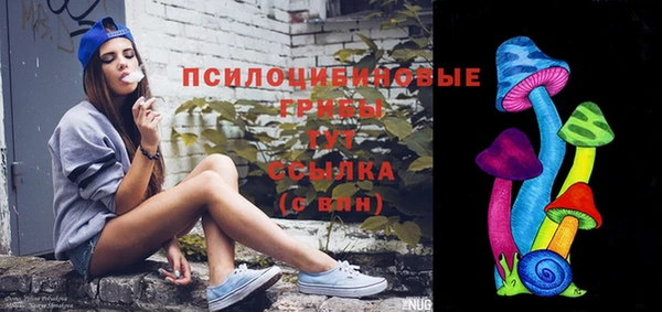 гашик Баксан