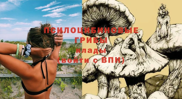 spice Балабаново