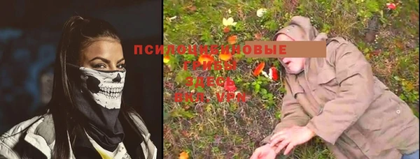 дживик Балахна