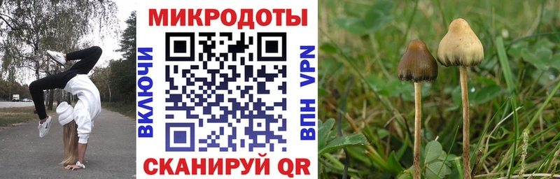 Галлюциногенные грибы Magic Shrooms  Озёры 